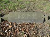 image of grave number 847596